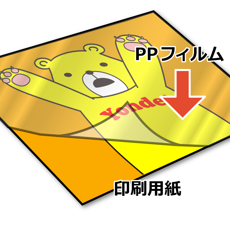 PP加工 説明
