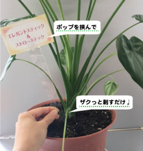 エレガントスティック_使用例